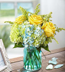 Coastal Blooms from Clermont Florist & Wine Shop, flower shop in Clermont